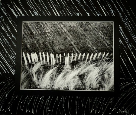 img-1973__