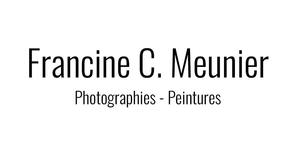 (c) Artiste-photographe.fr